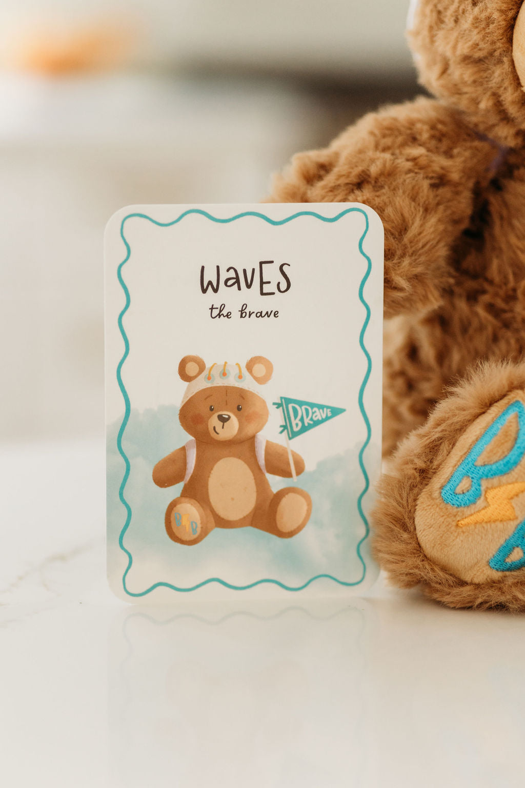 Beary Brave Book & Bear bundle