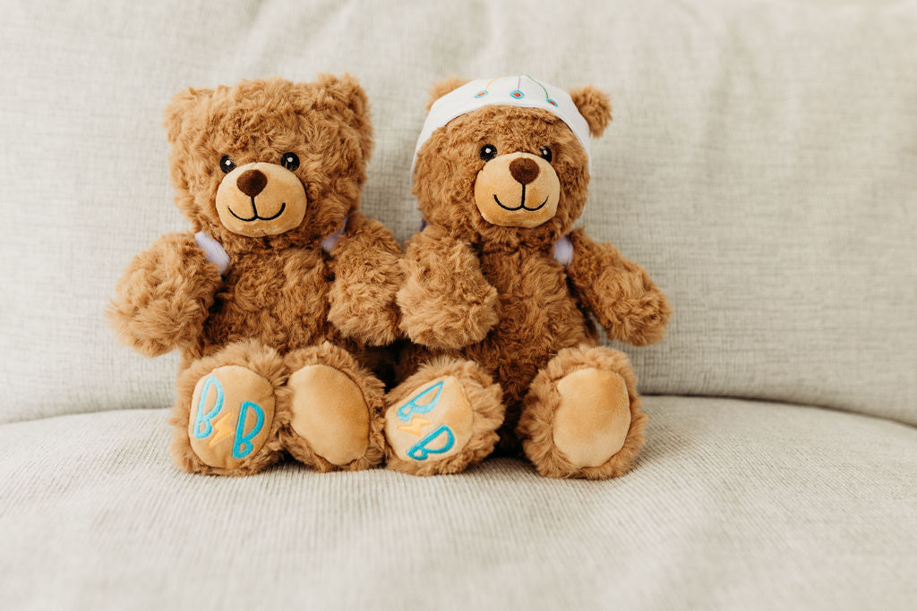 Bear Pair (mix & match) + Book gift set